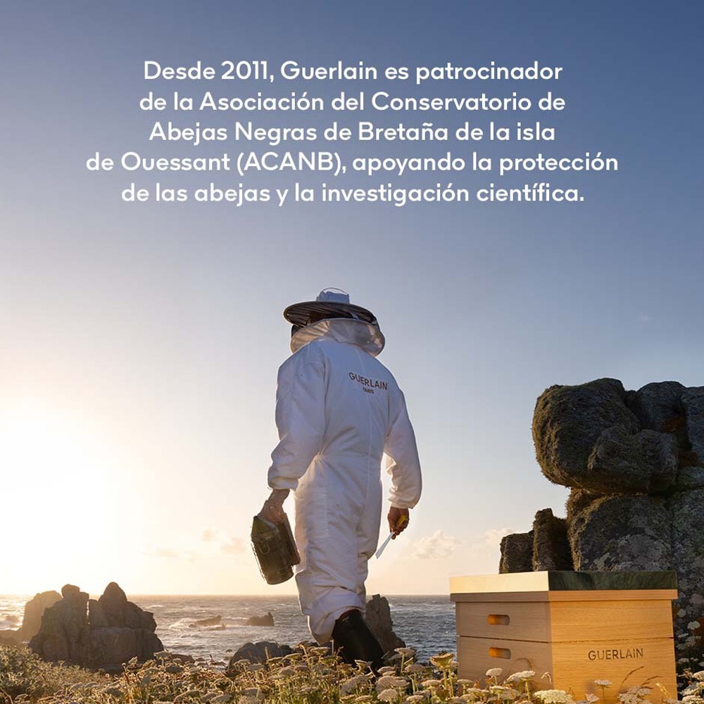 ABEILLE ROYALE KIT SÉRUM REJUVENESCEDOR (SET PARA CUIDADO DE LA PIEL)